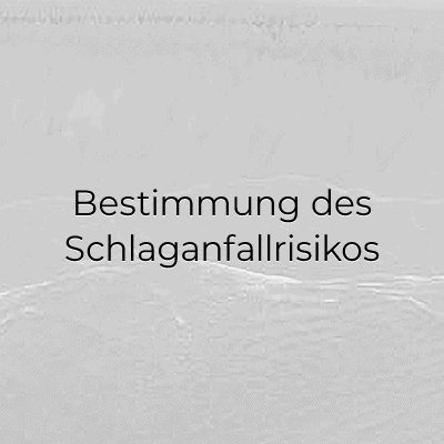 Bestimmung des Schlaganfallrisikos
