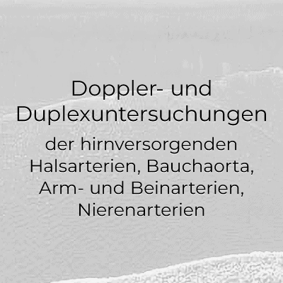 Doppler- und Duplexuntersuchungen der hirnversorgenden Halsarterien, Bauchaorta, Arm- und Beinarterien, Nierenarterien