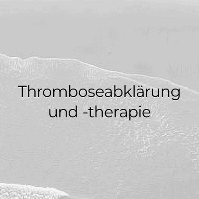Thromboseabklärung und -therapie
