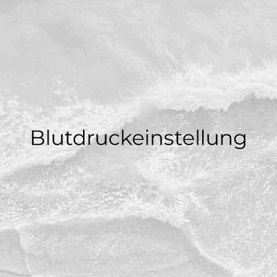 Blutdruckeinstellung