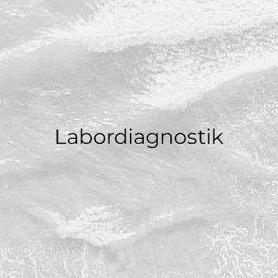 Labordiagnostik