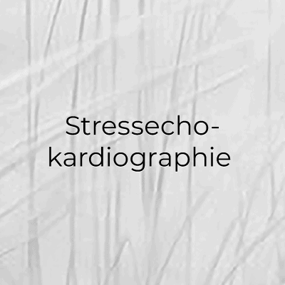 Stressechokardiographie