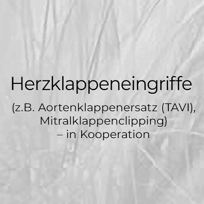 Herzklappeneingriffe (z.B. Aortenklappenersatz (TAVI), Mitralklappenclipping) / in Kooperation