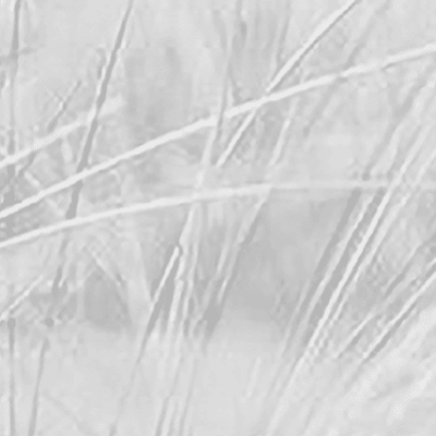 Kardiologie in Eckernförde, Herzuntersuchung und Behandlung.